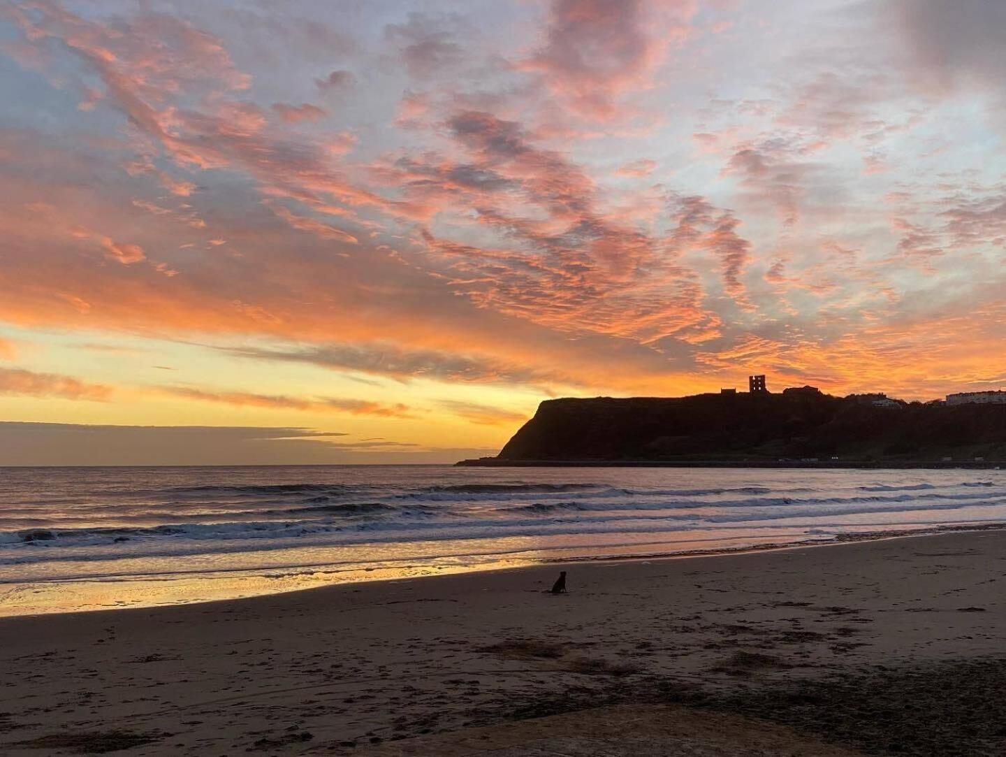 Seascape - Fantastic Location With Sea Views! Scarborough Extérieur photo